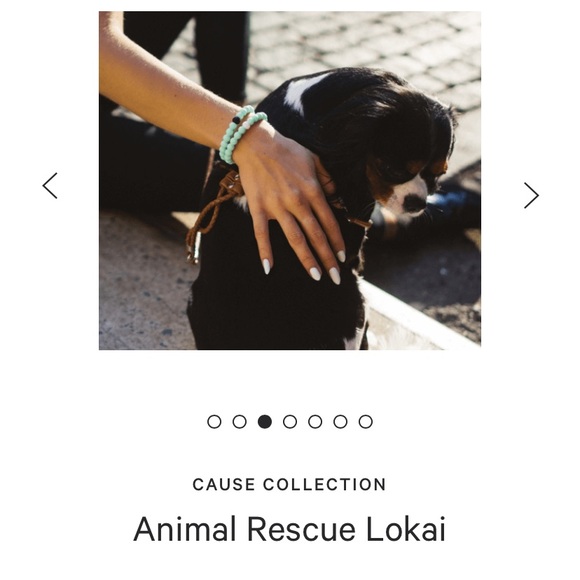 Animal Rescue Lokai - Picture 6 of 10